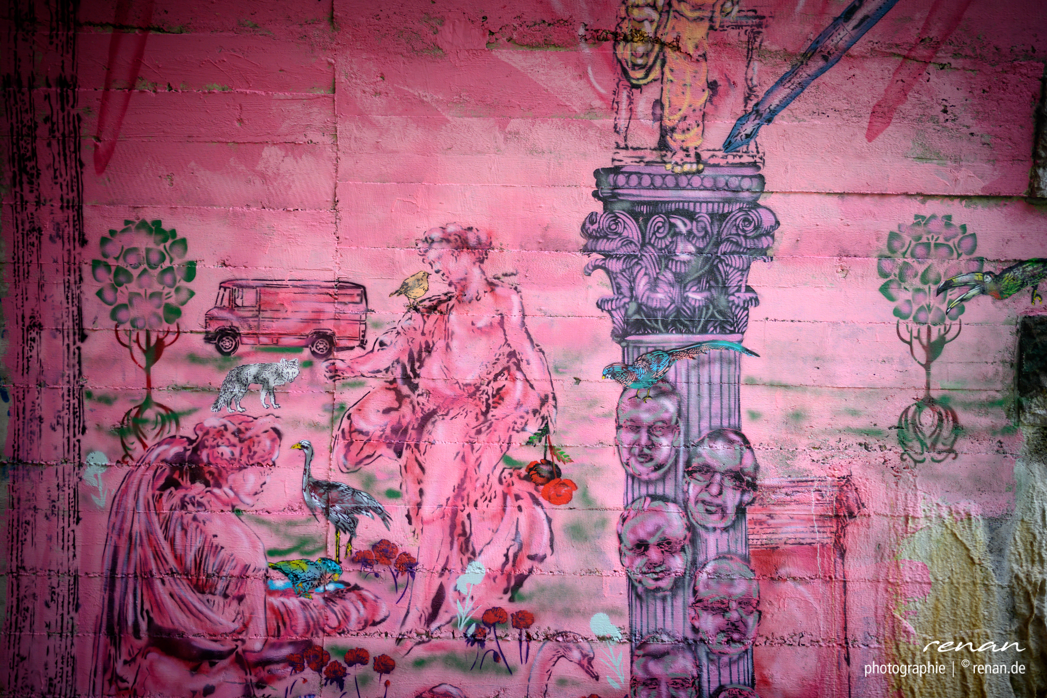 DSC_6054