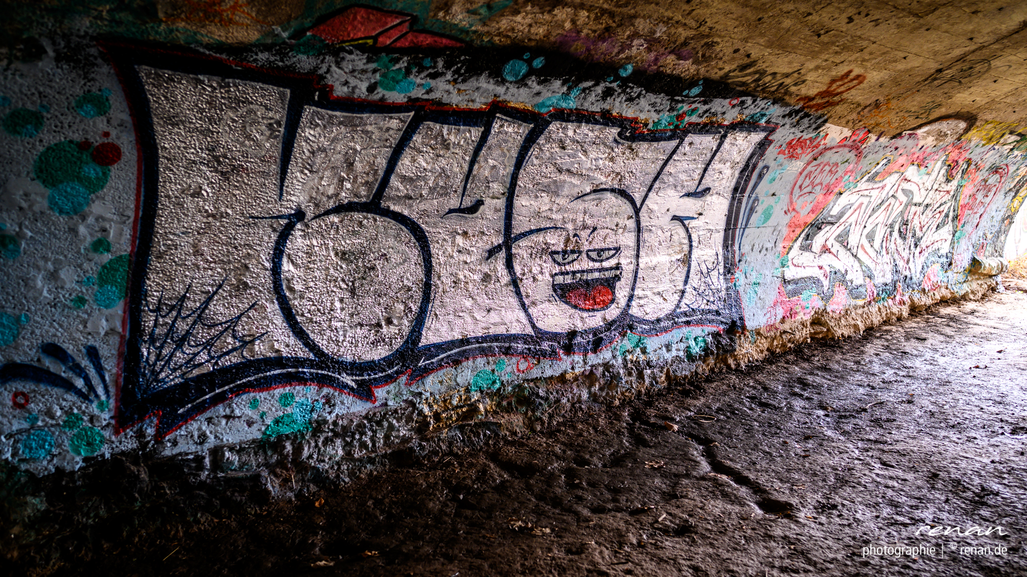 DSC_6084