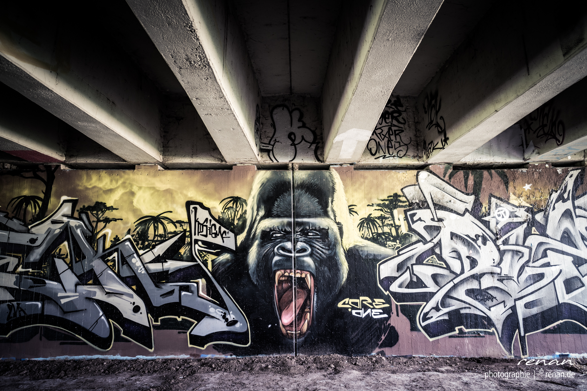 DSC_6114