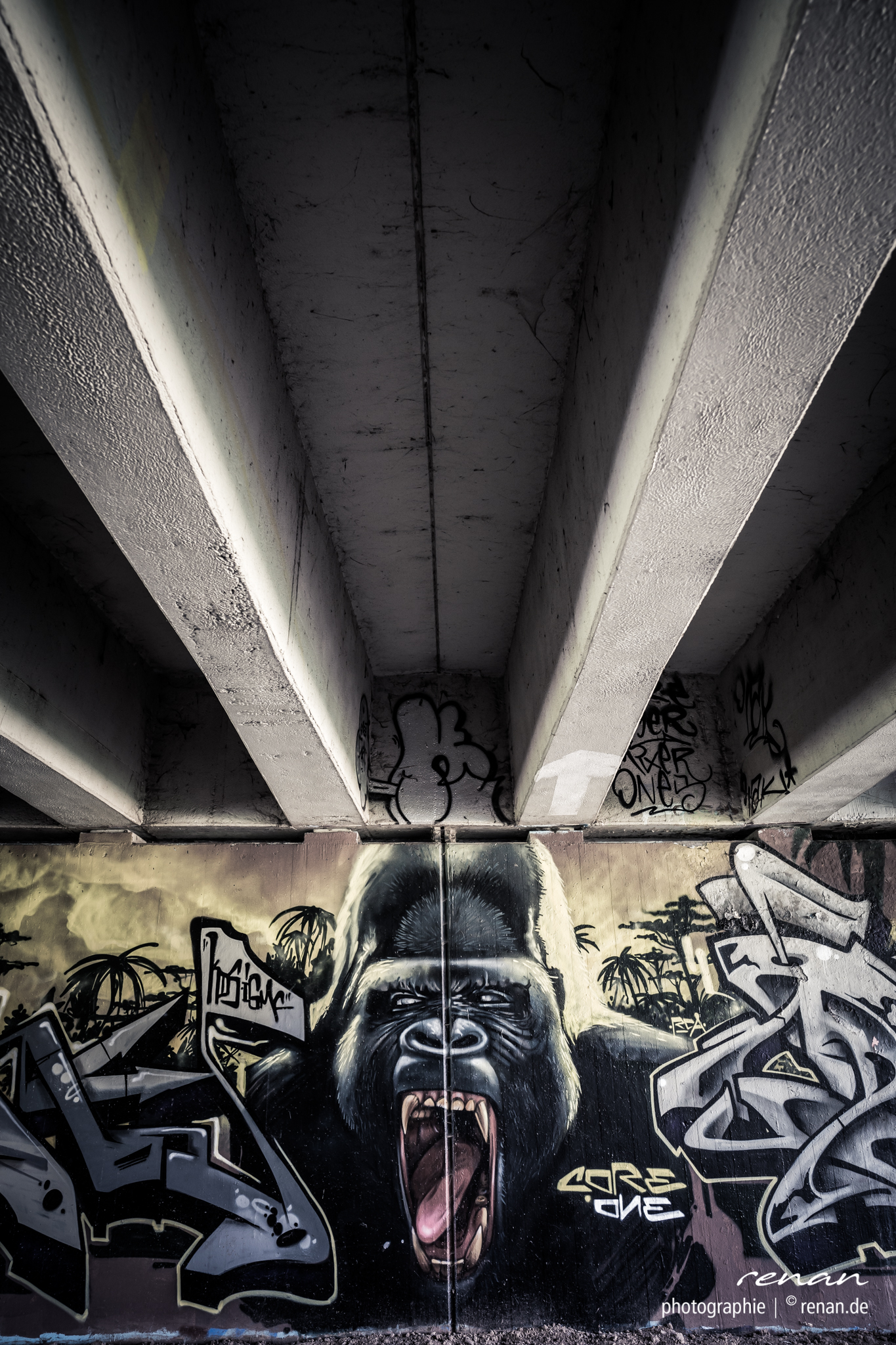 DSC_6115